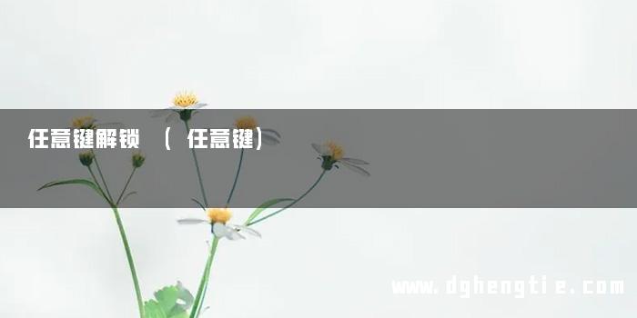 任意键解锁 (任意键)